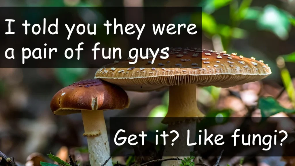 Wild Mushroom Puns